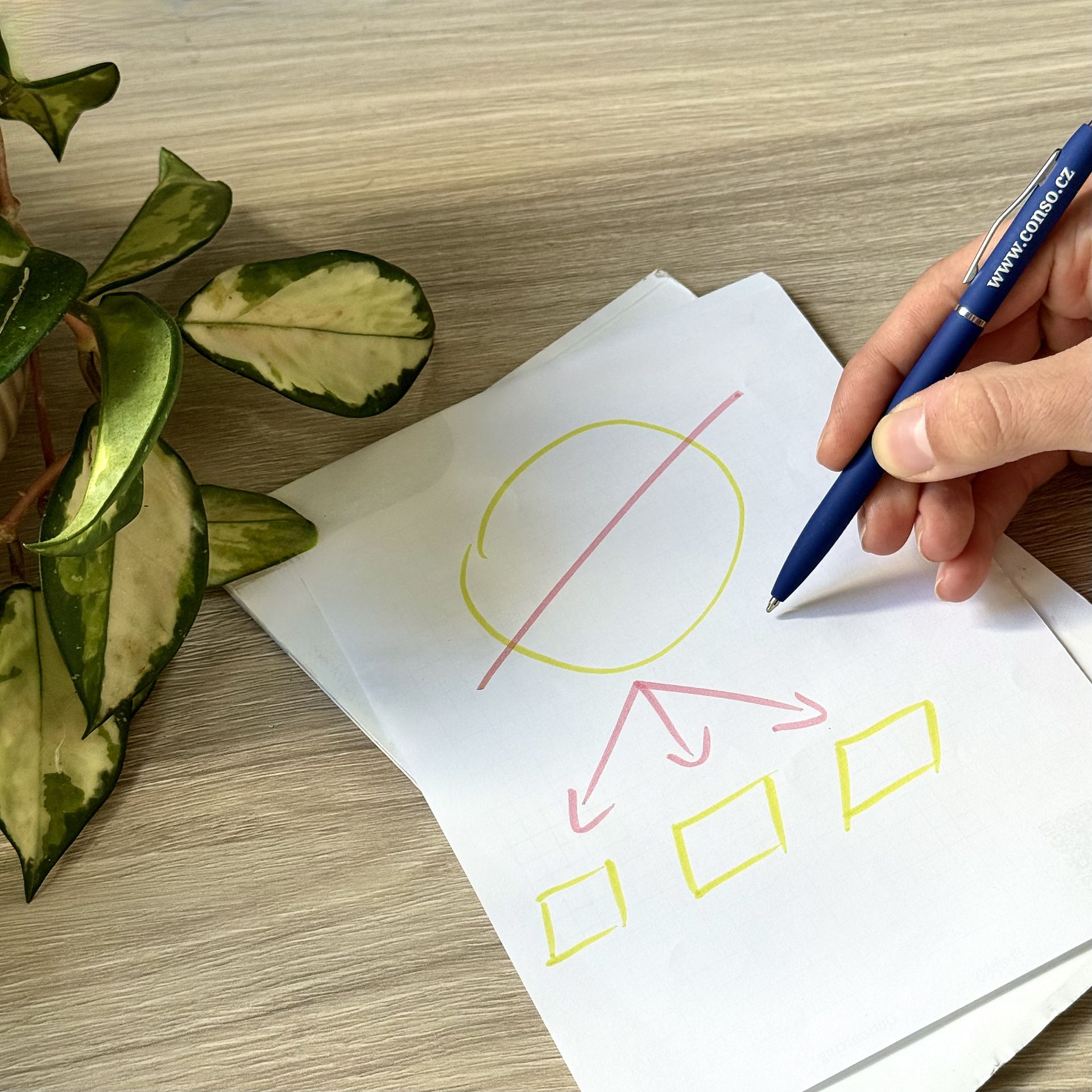 Obrat roste, ale zisk mizí? Známe hlavní důvod